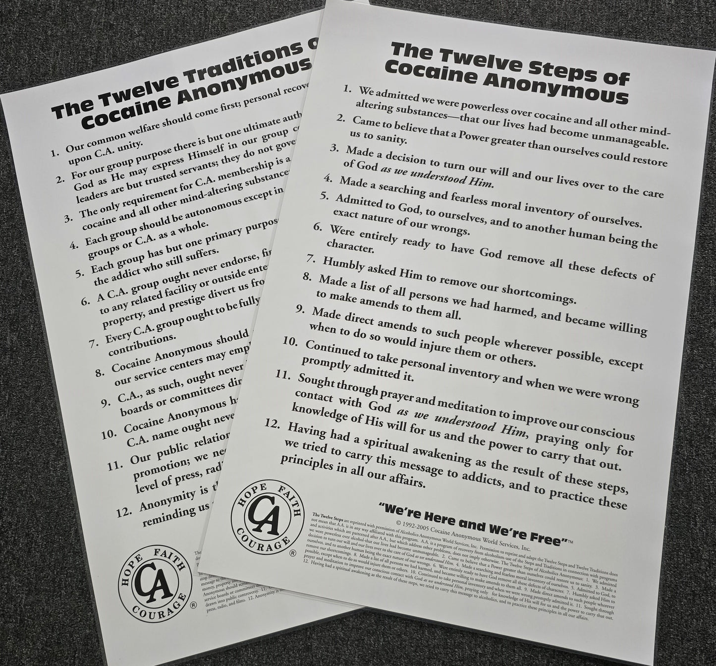 12 & 12 Laminated Poster Set