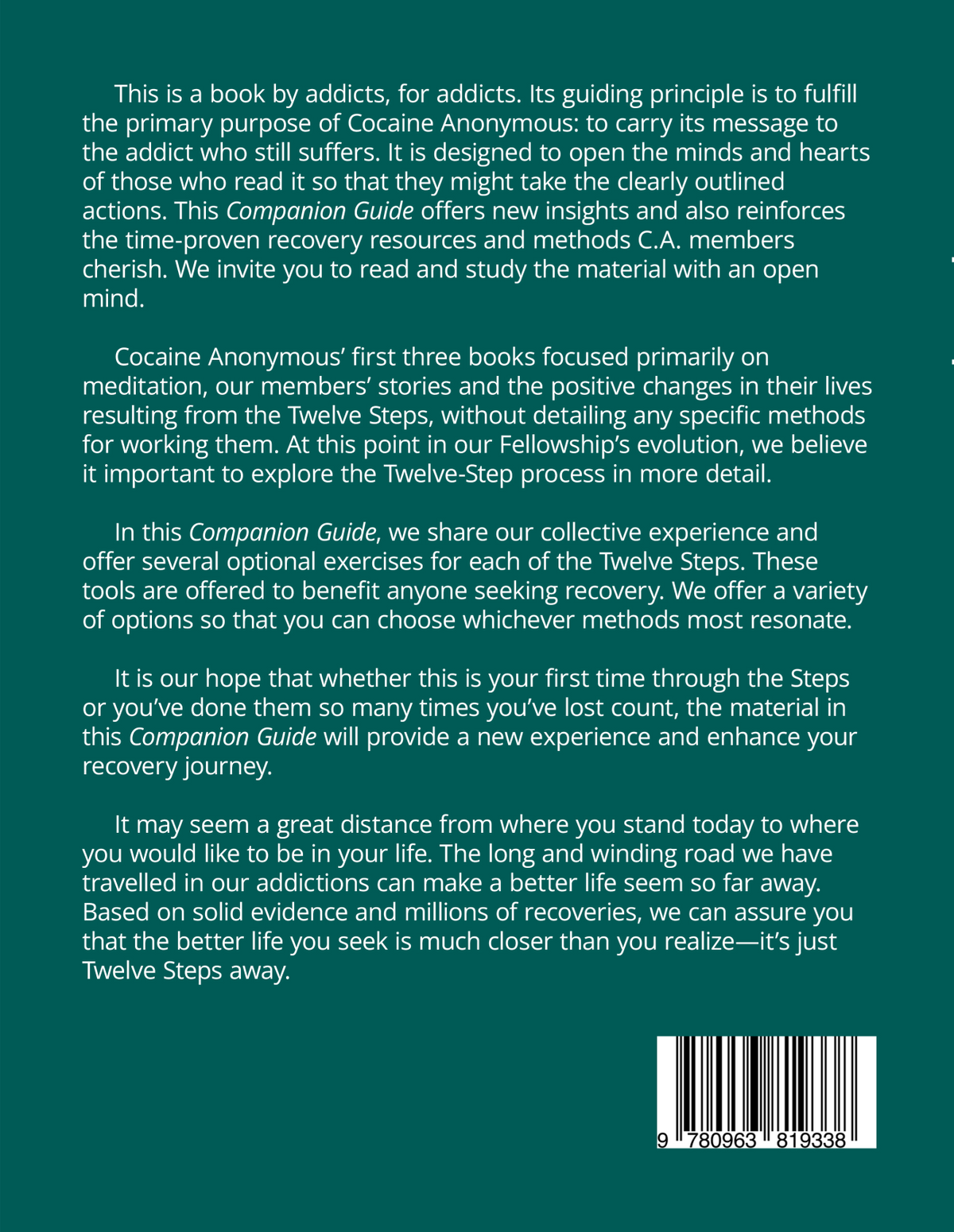 Twelve-Step Companion Guide