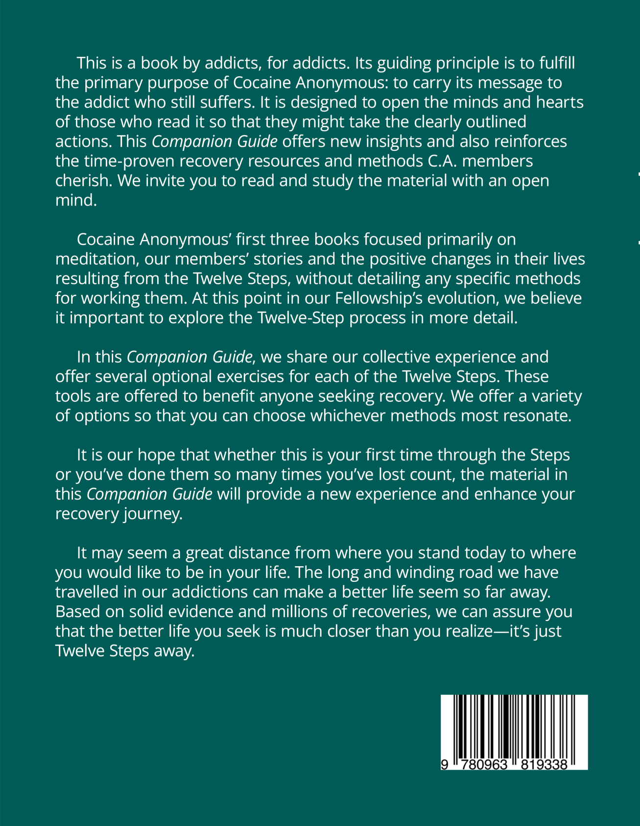 Twelve-Step Companion Guide