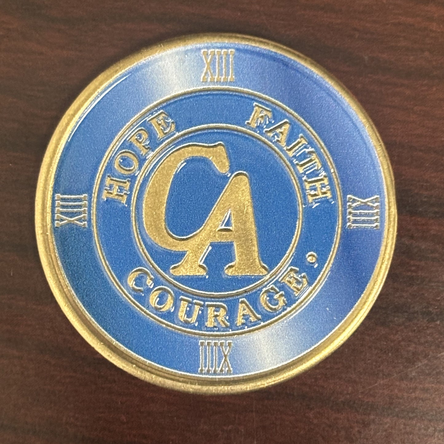 Ocean Breeze Recovery Medallion