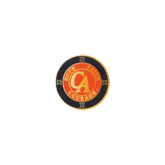Orange Recovery Medallion