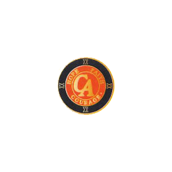 Orange Recovery Medallion